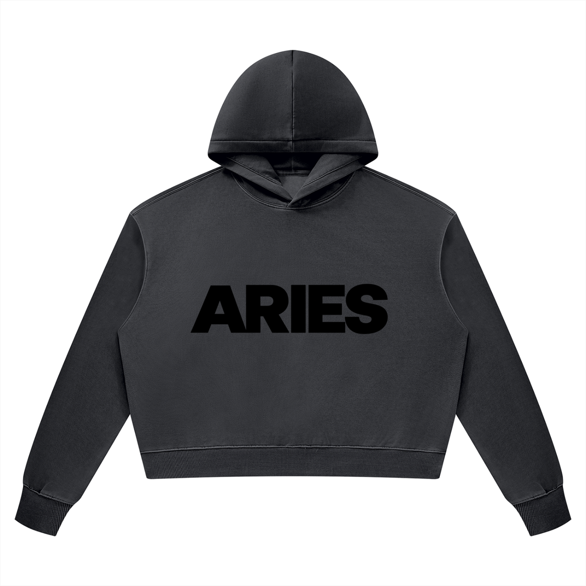 Aries Heavyweight Hoodie
