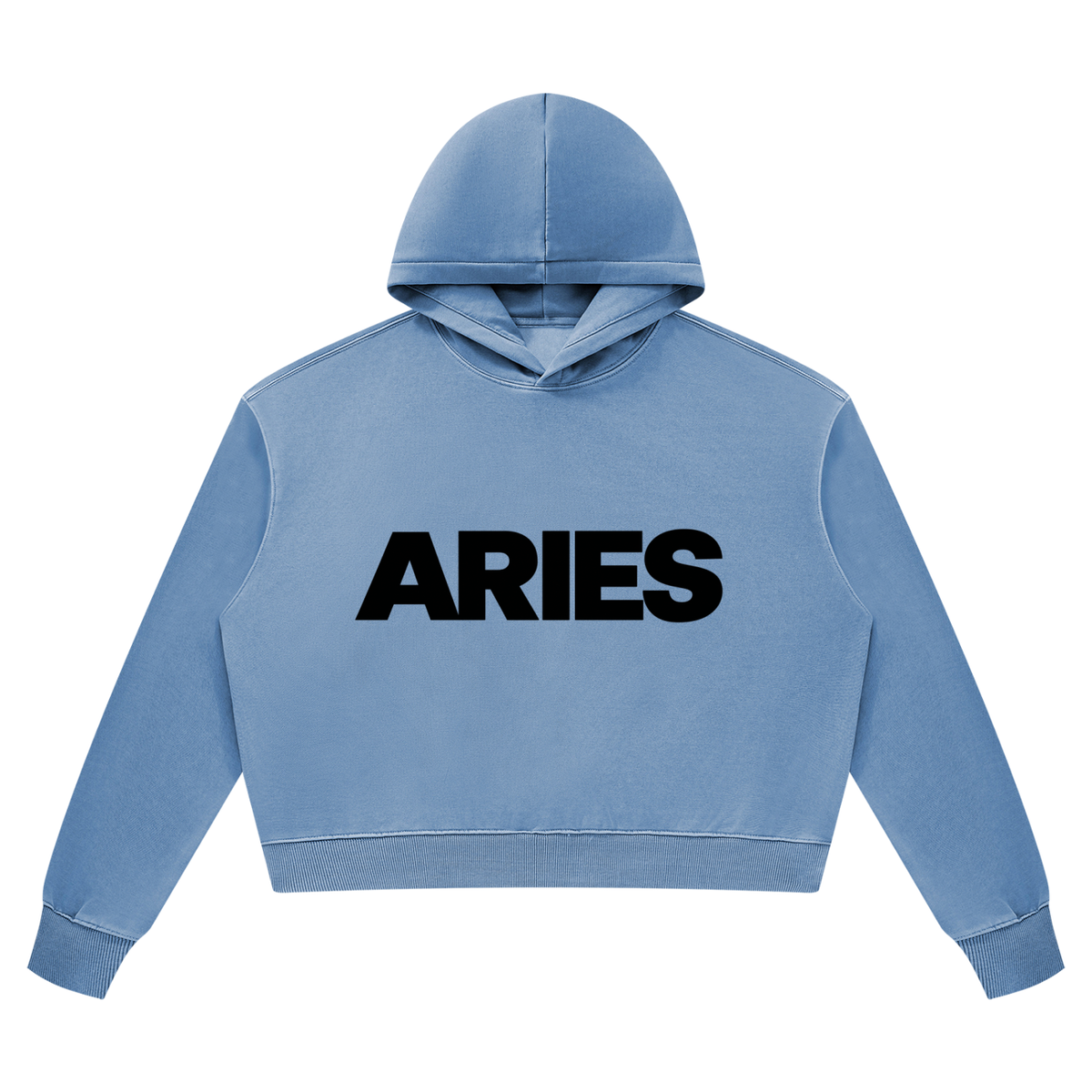 Aries Heavyweight Hoodie