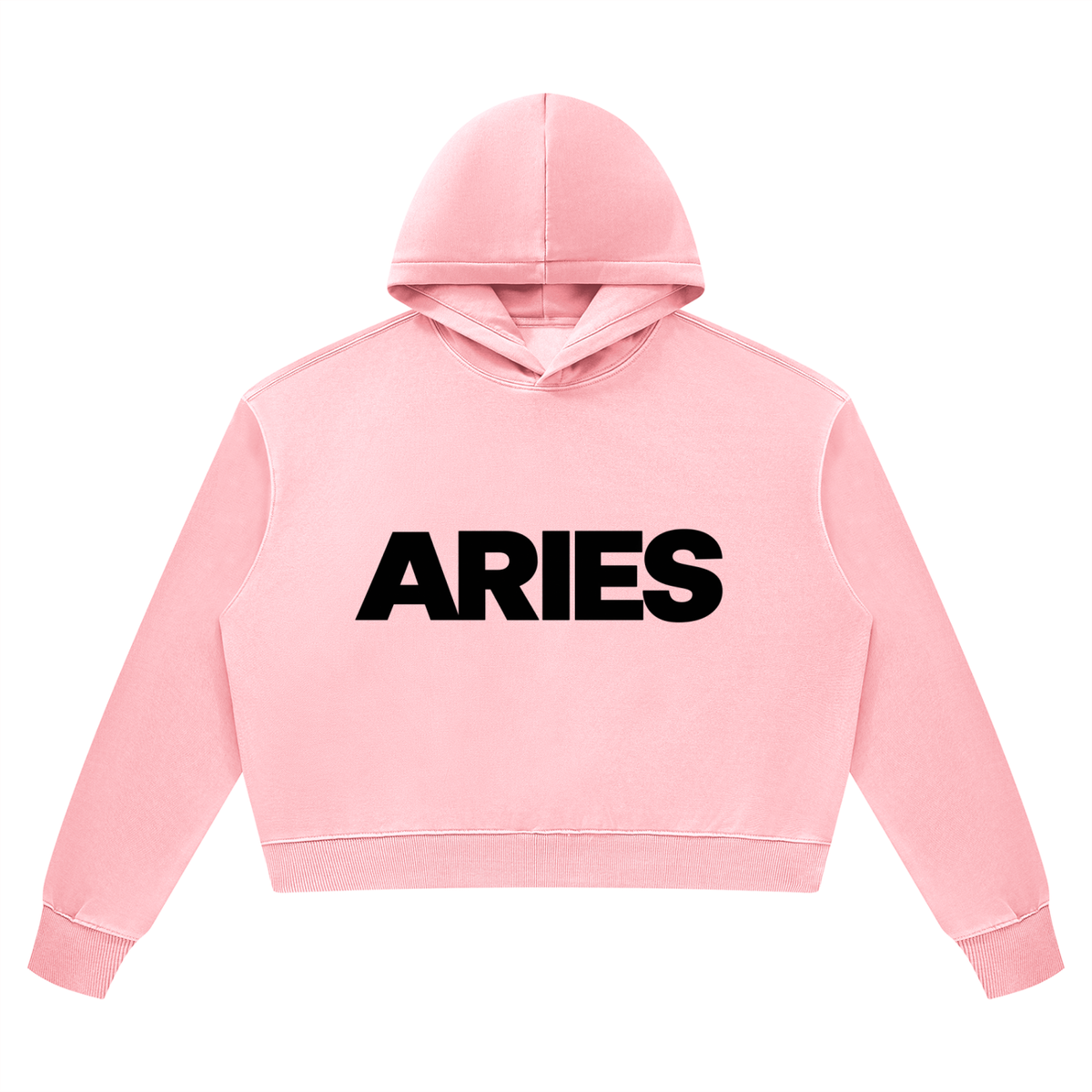 Aries Heavyweight Hoodie