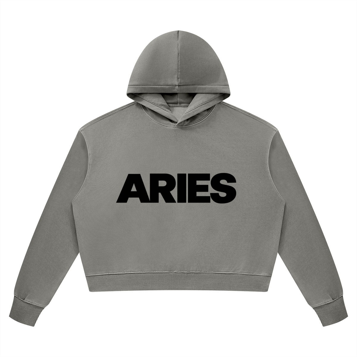 Aries Heavyweight Hoodie