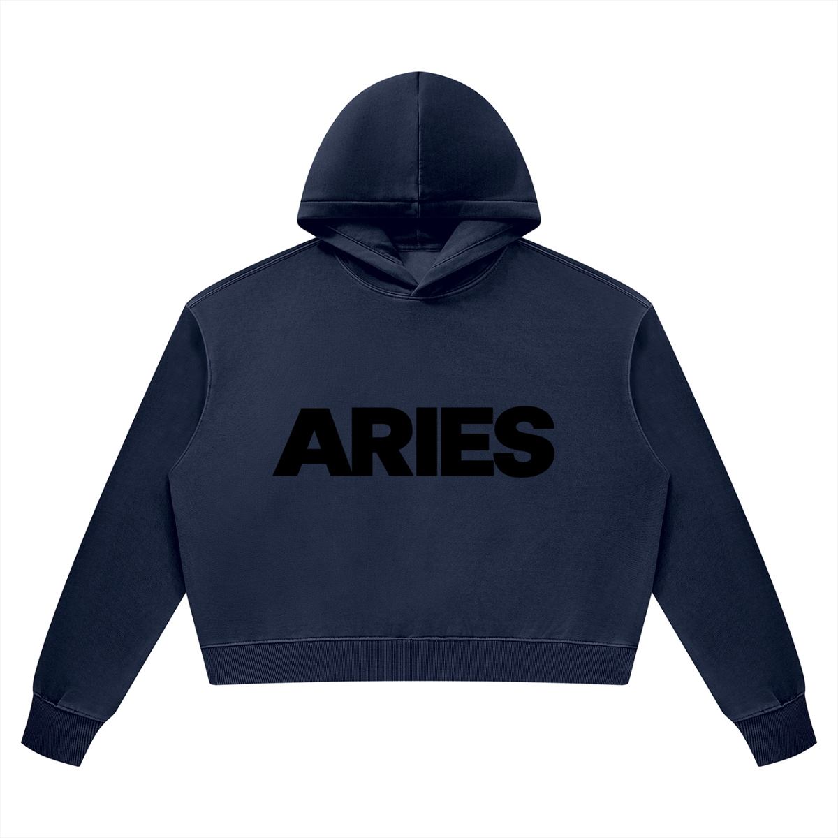 Aries Heavyweight Hoodie